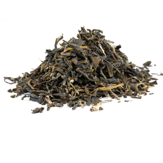 L’Éclat du Jasmin